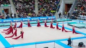 grand prix della ginnastica 0129 sfe02433 copia simone ferraro ph